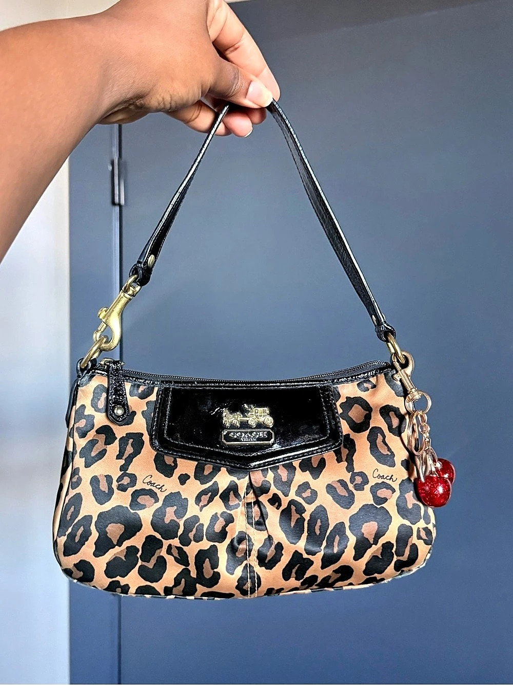Coach Madison Ocelot Leopard Print Mini Bag